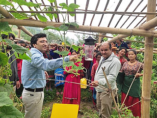 Demonstration of pheromone trap, lure trap and yellow sticky trap of IPM tools.